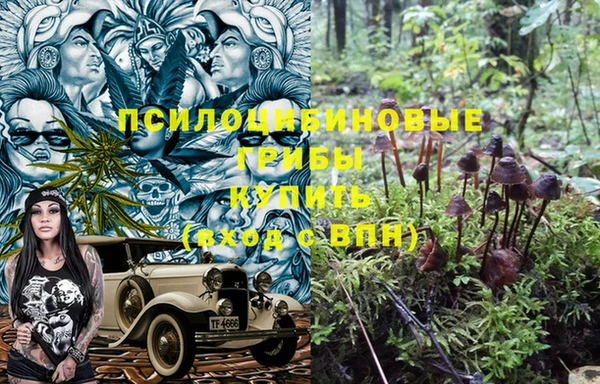 гашик Абдулино