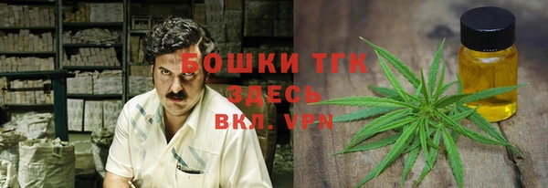 ПСИЛОЦИБИНОВЫЕ ГРИБЫ Алексеевка