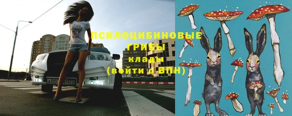 гашик Абдулино