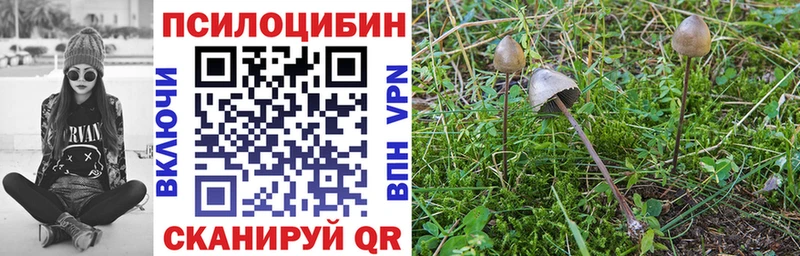 Галлюциногенные грибы ЛСД  Шебекино 